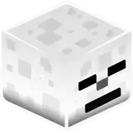 Skeleton